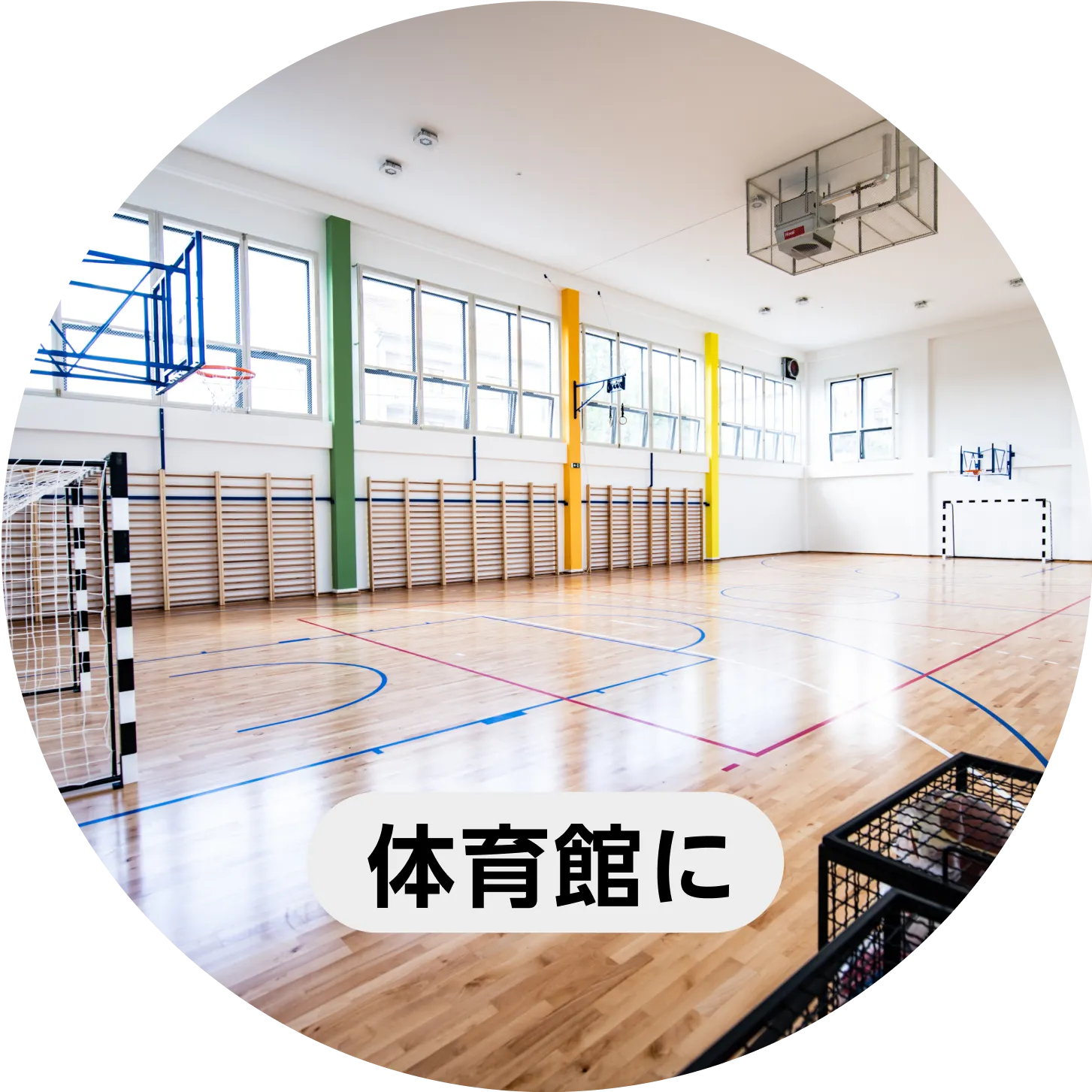 体育館に